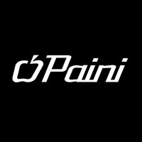 Смесители Paini