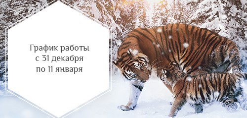 График работы в праздничные дни
