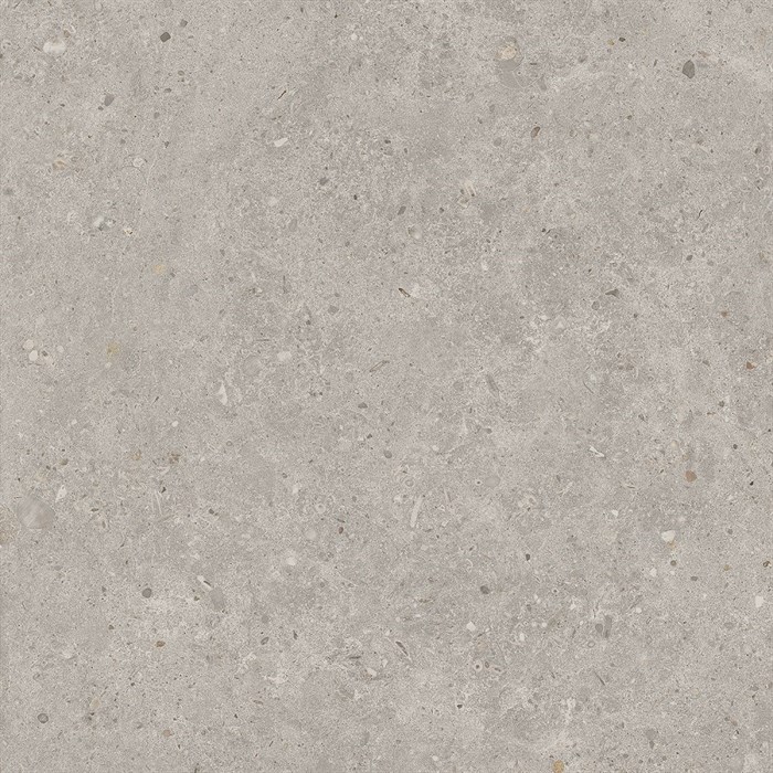 SG653720R Риккарди серый светлый матовый обрезной 60x60x0,9 - фото 55636