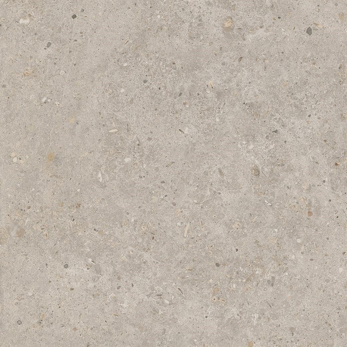 SG653820R Риккарди бежевый матовый обрезной 60x60x0,9 - фото 55637