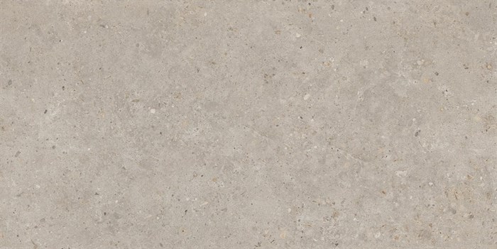SG540620R Риккарди бежевый матовый обрезной 60x119,5x0,9 - фото 55939
