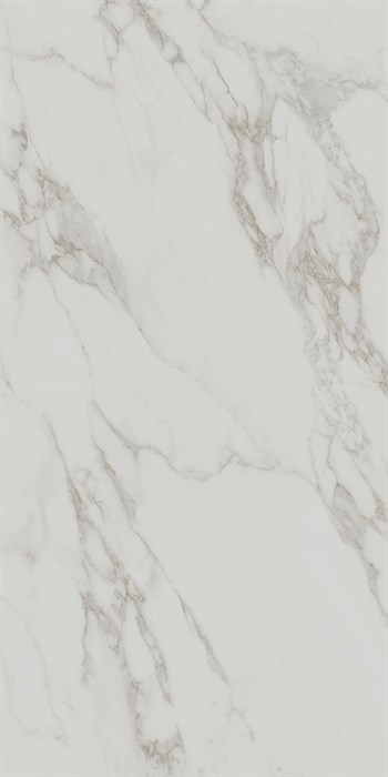 SG572390R Монте Тиберио серый светлый матовый обрезной 80x160x0,9 - фото 74763