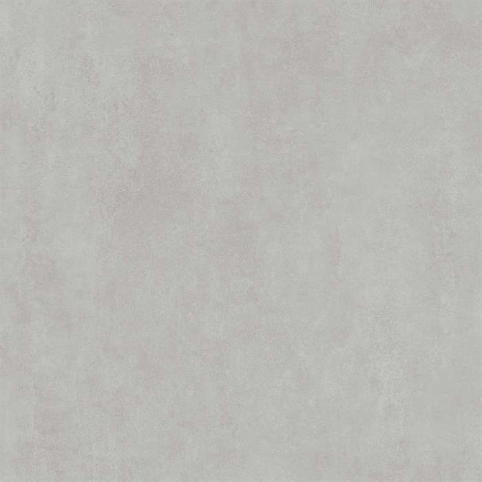 DD841190R Про Догана серый светлый матовый обрезной 80x80x0,9 - фото 74825