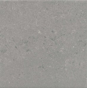 {{photo.Alt || photo.Description || 'SG1590N Матрикс серый 20x20x8'}}