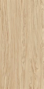 {{photo.Alt || photo.Description || 'SG565200R Олива бежевый обрезной 60x119,5x11'}}
