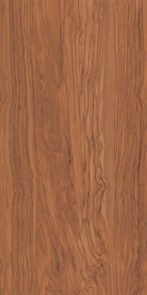 {{photo.Alt || photo.Description || 'SG565300R Олива коричневый обрезной 60x119,5x11'}}