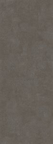 SG070500R6 Beton Antracite 119,5x320х6