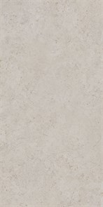 {{photo.Alt || photo.Description || 'DD590400R Про Лаймстоун АТ бежевый натуральный обрезной 119,5х238,5 119,5x238,5x11'}}