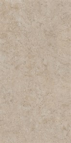 {{photo.Alt || photo.Description || 'DD590500R Про Лаймстоун АТ бежевый темный натуральный обрезной 119,5х238,5 119,5x238,5x11'}}