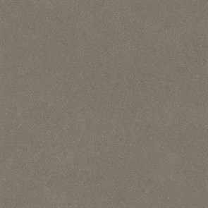 DD642520R Джиминьяно коричневый матовый обрезной 60х60x0,9