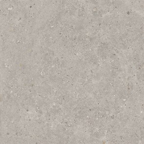 SG653720R Риккарди серый светлый матовый обрезной 60x60x0,9