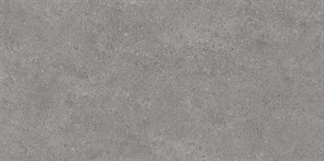 {{photo.Alt || photo.Description || 'DL500920R Фондамента серый обрезной 60x119,5x0,9'}}