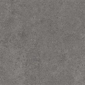 {{photo.Alt || photo.Description || 'DL601520R Фондамента пепельный обрезной 60x60x0,9'}}