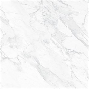 {{photo.Alt || photo.Description || 'SG932120R Фрагонар белый обрезной 30x30x0,9'}}