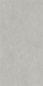 DD570190R Про Догана серый светлый матовый обрезной 80x160x0,9
