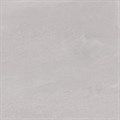DD602020R Про Матрикс серый светлый обрезной 60x60x0,9 - фото 56928