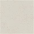 DD641320R Про Лаймстоун бежевый светлый натуральный обрезной 60x60x0,9 - фото 60966
