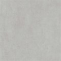 DD841190R Про Догана серый светлый матовый обрезной 80x80x0,9 - фото 74825